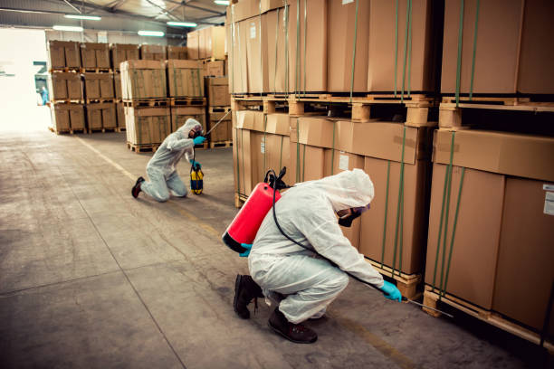 Best Wildlife Control Services  in Assumption, IL
