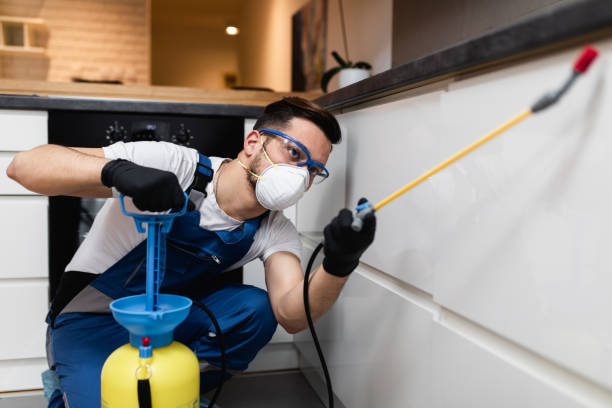 Best Pest Control Cost  in Assumption, IL