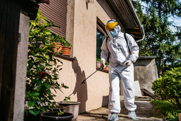 Best Best Pest Control Companies  in Assumption, IL
