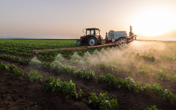 Pest Control Cost in Assumption, IL