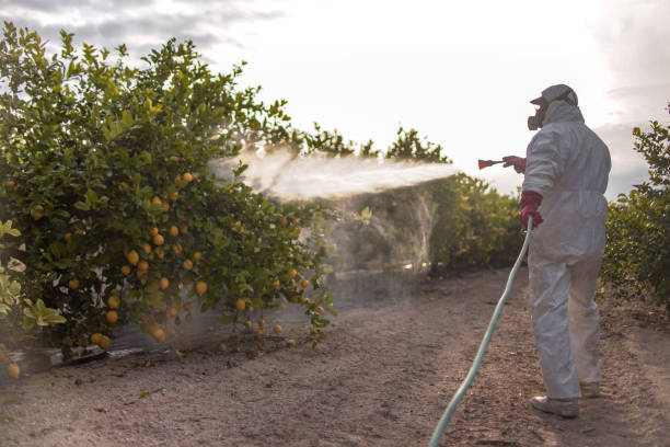 Best Exterminator Services  in Assumption, IL