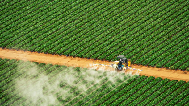 Best Mosquito Control Services  in Assumption, IL
