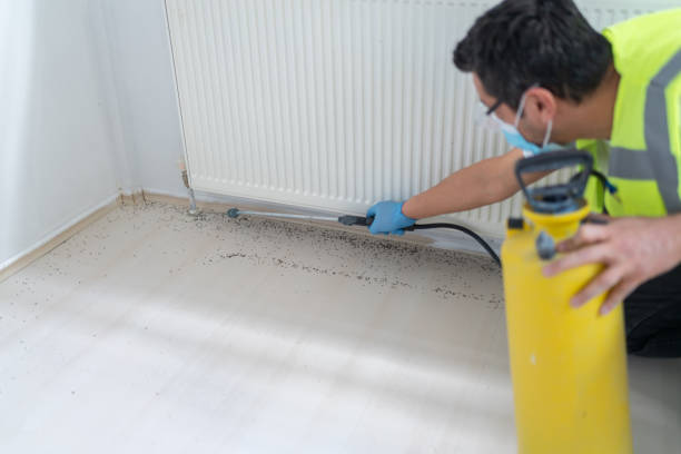 Professional Pest Control in Assumption, IL