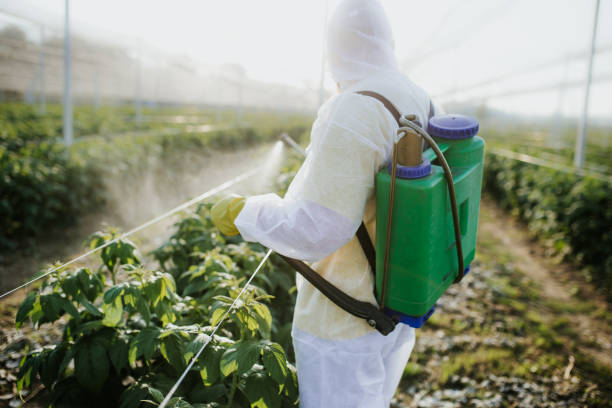 Best Pest Control Near Me  in Assumption, IL